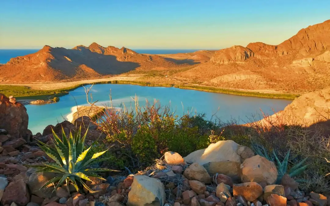 What Is My Texas Land Worth? 7 Factors That Affect Value